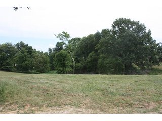Property photo 57 - LAND AUCTION - 1,193+/- ACRES IN 14 TRACTS IN PIKE & GIBSON COUNTY, INDIANA